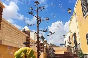 Imagen de Cortijo los Garridos