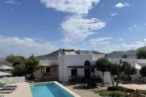 Imagen de Little Agave