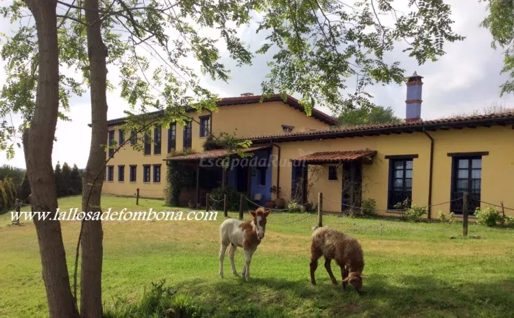 Imagen de Hotel La LLosa con pony y cordero a la entrada.