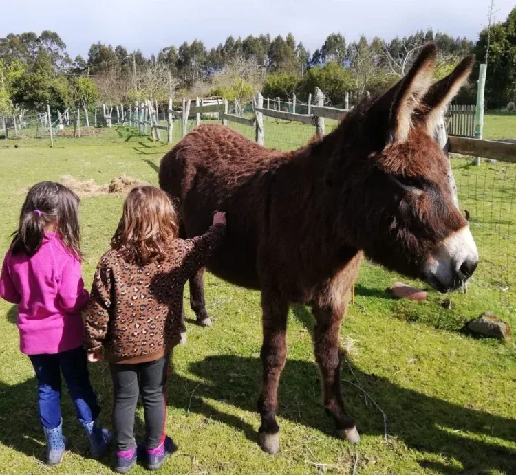 Imagen de La burrita Fleki