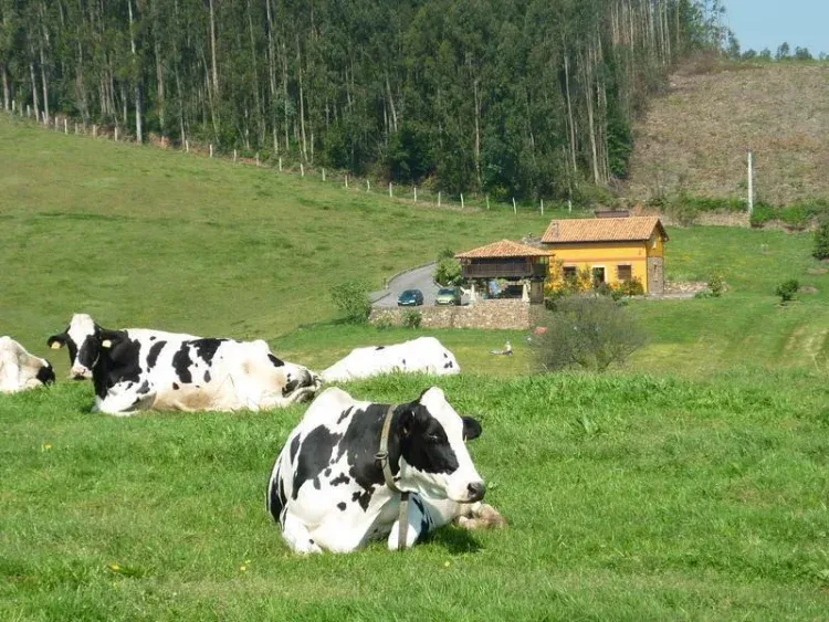 Imagen de Paisaje de Carreño, Asturias, Candás