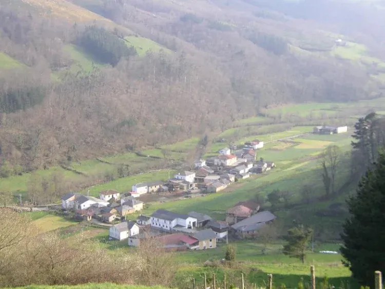 Imagen de Yerbo Asturias