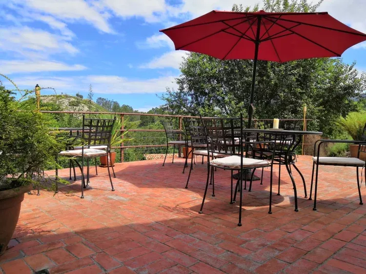 Imagen de Terraza 