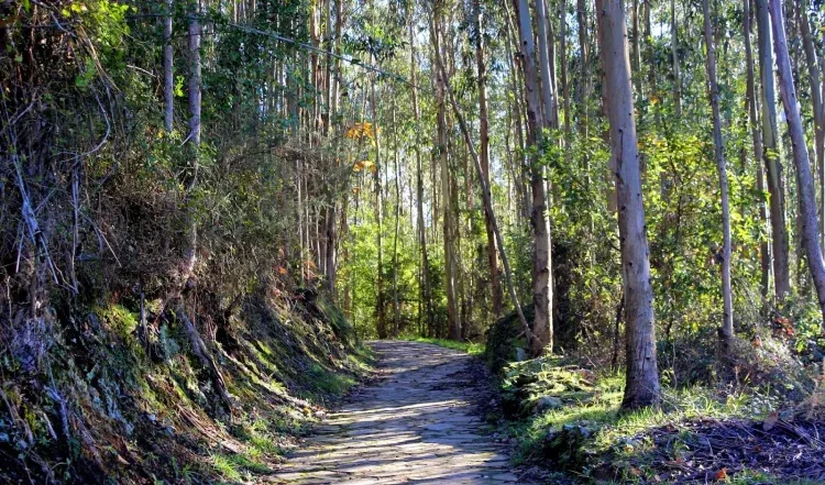 Imagen de Ruta de los Miradores