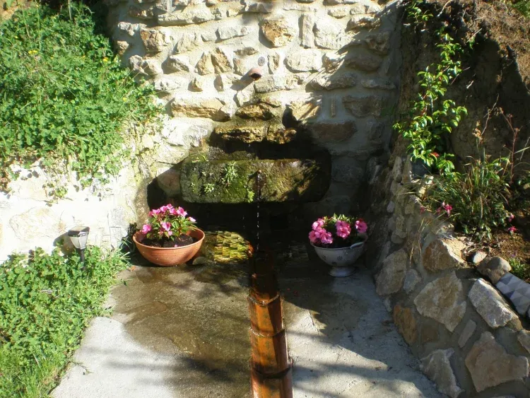 Imagen de Fuente san Antonio en el jardín