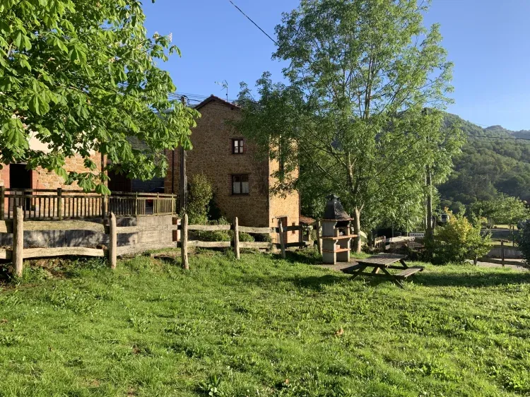 Imagen de jardin y barbacoa