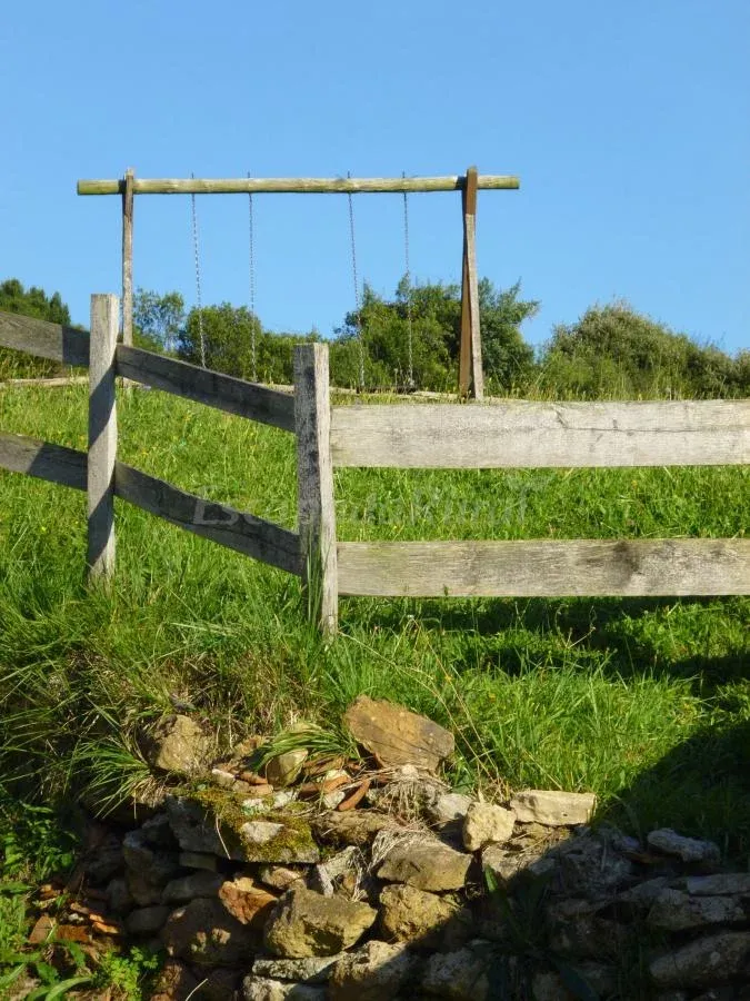 Imagen de Zona de jardin con columpio