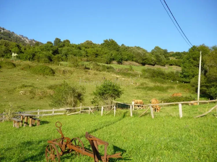 Imagen de Zona de jardin con mesas