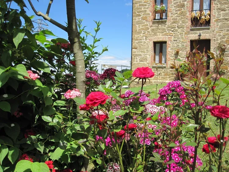 Imagen de Fachada de piedra con vista de jardín.