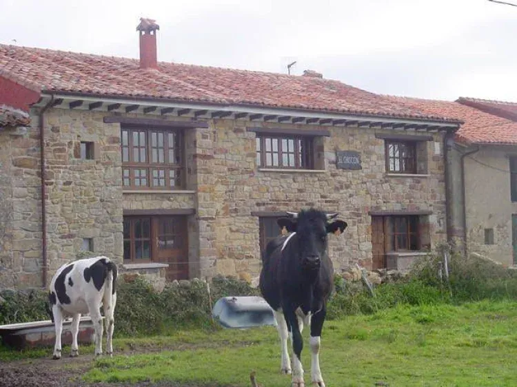 Imagen de Vista delantera