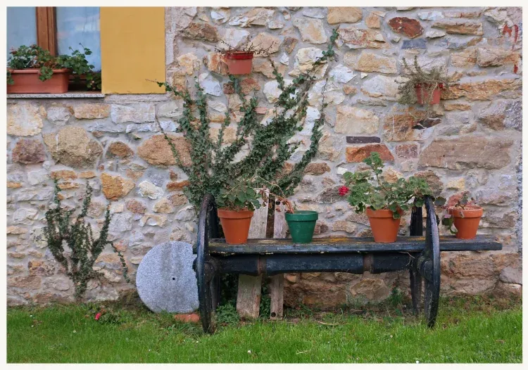 Imagen de Detalle jardín