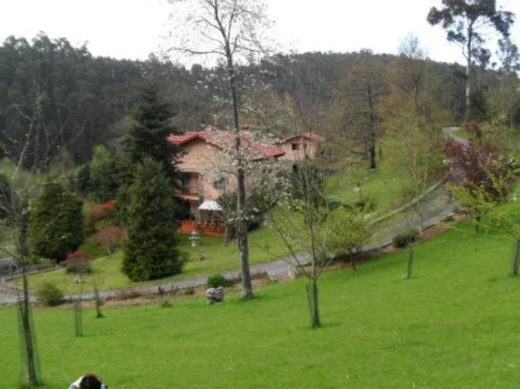 Imagen de Vista de jardín