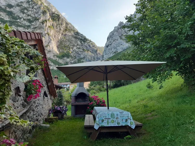 Imagen de Zona verde con barbacoa
