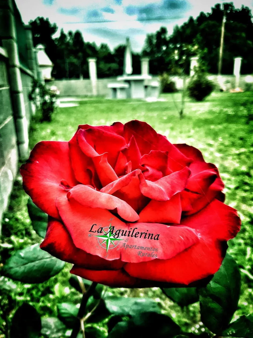 Imagen de Jardin