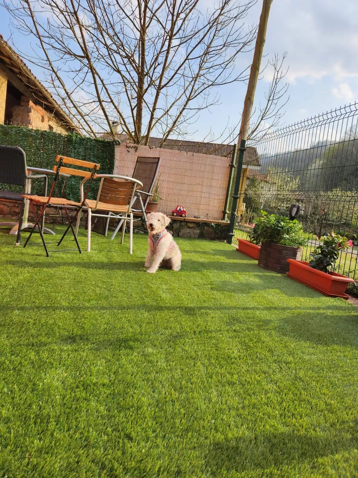 Imagen de jardin