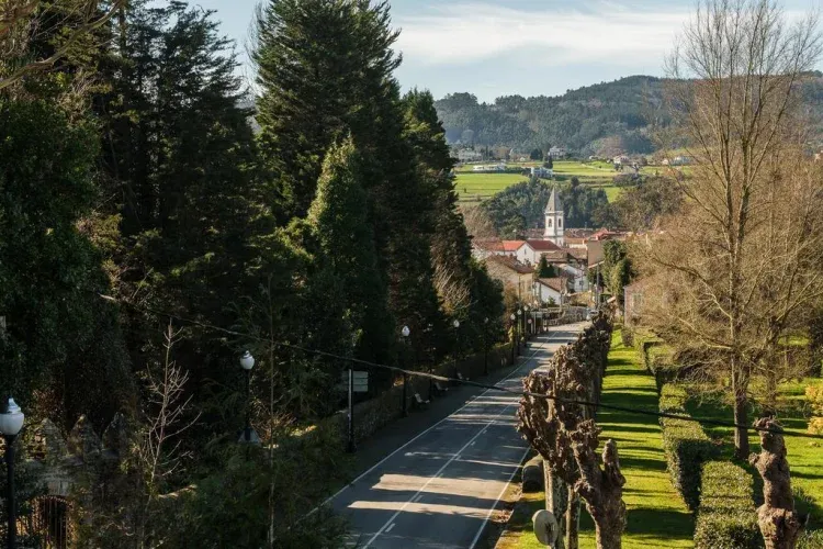 Imagen de Vistas