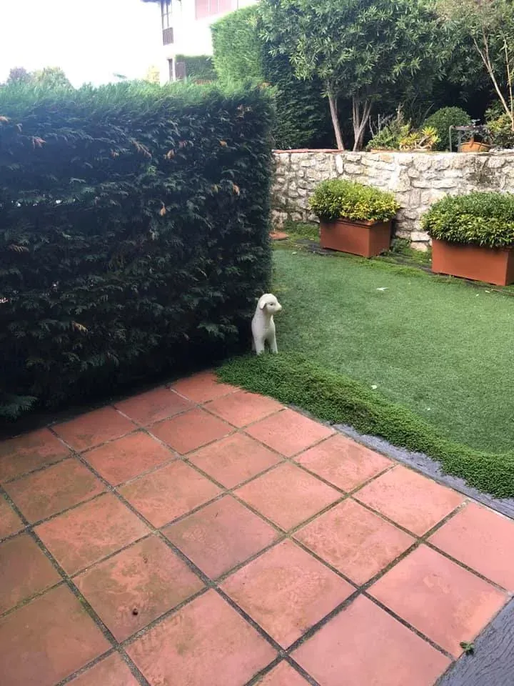Imagen de Terraza