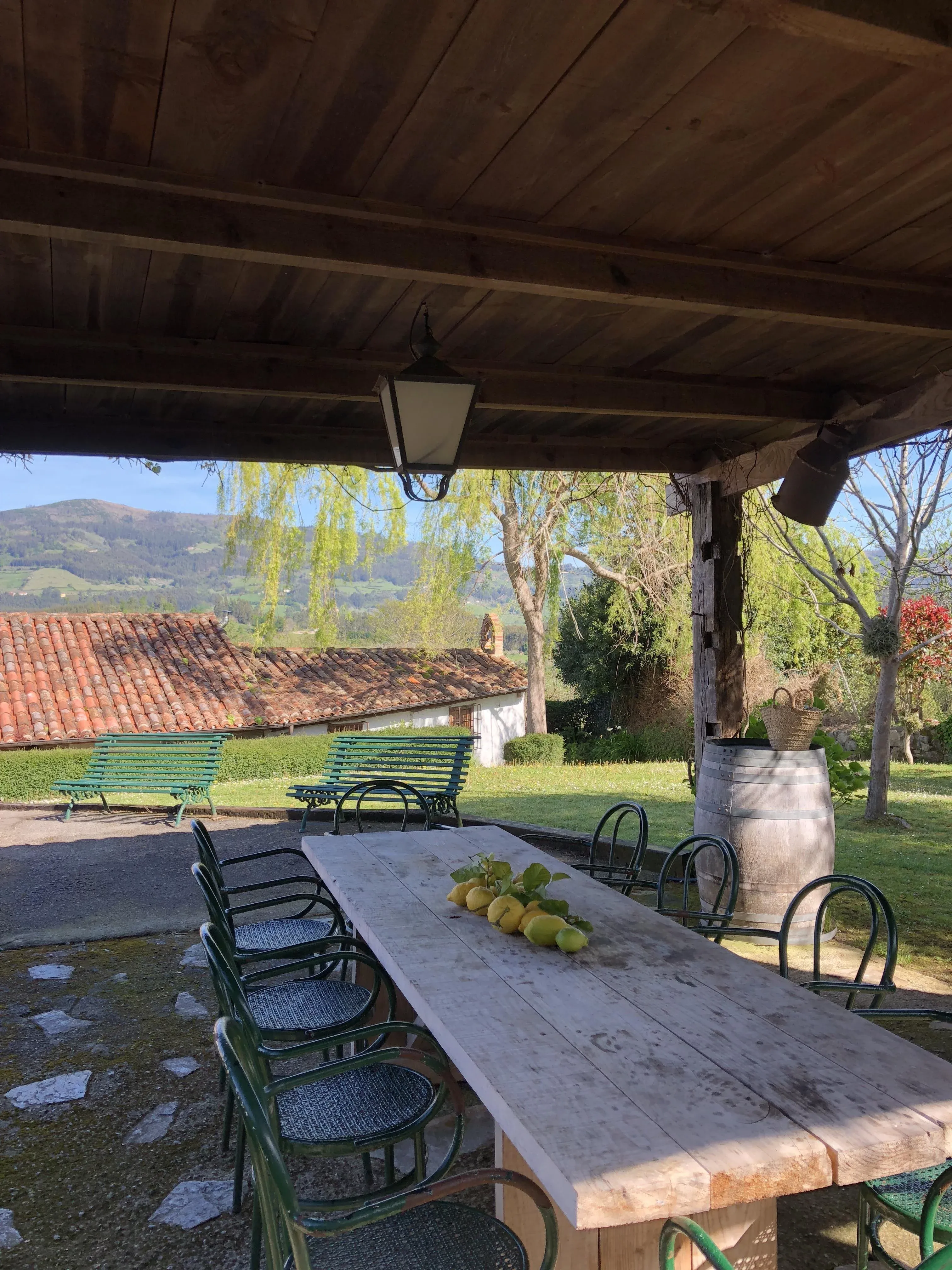 Imagen de Zona BBQ