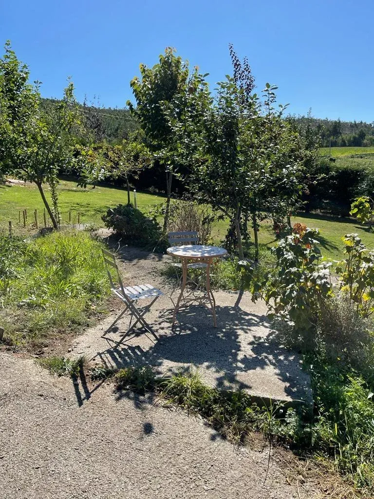 Imagen de JARDÍN
