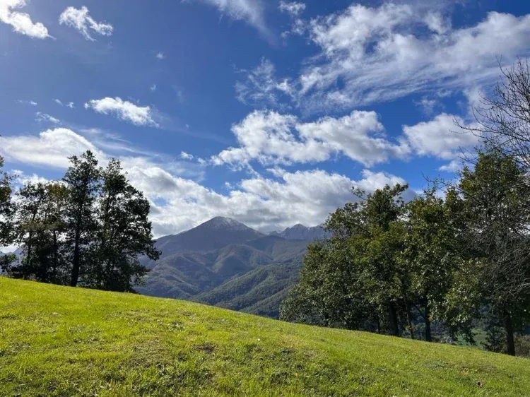 Imagen de Terreno vallado