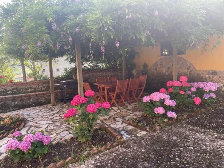 Imagen de Cenador y zona barbacoa Los Campos