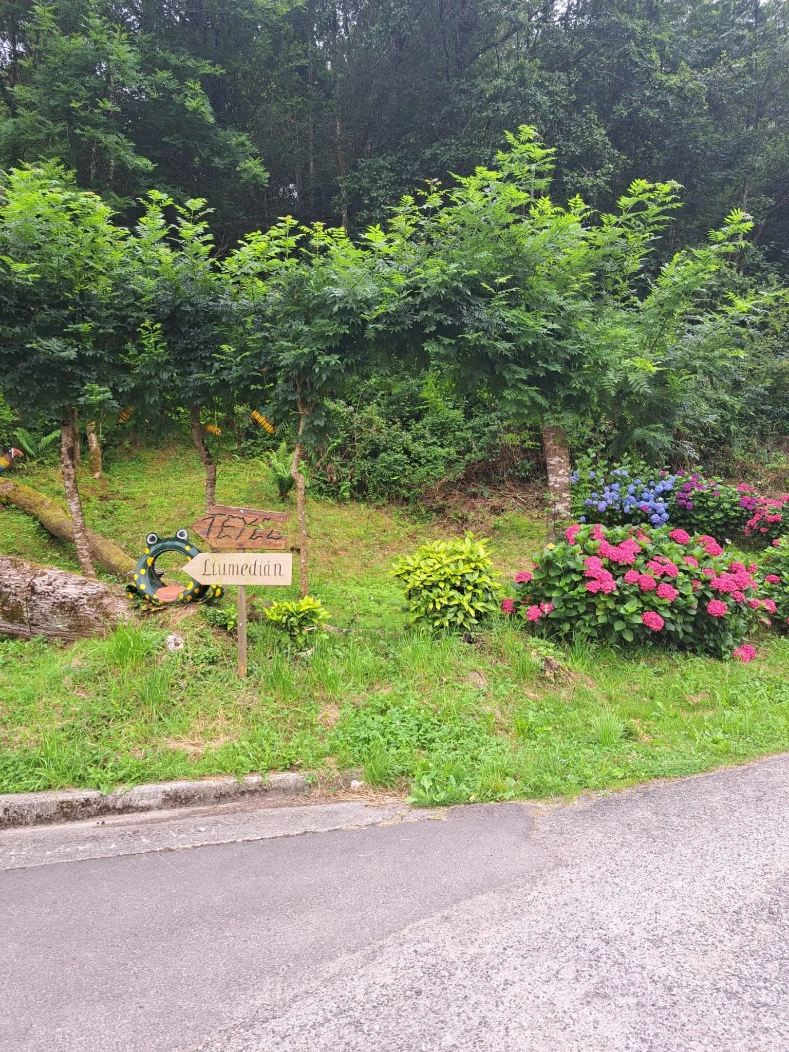 Imagen de Barrio Llumedian 