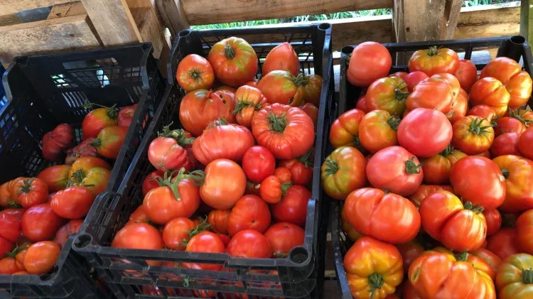 Imagen de Productos km0