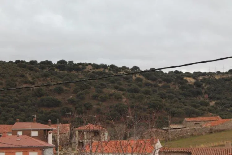 Imagen de Paisaje encinas