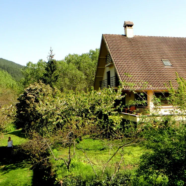 Imagen de Casa y Jardin