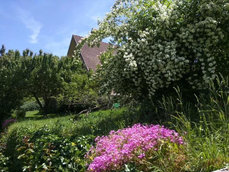 Imagen de Jardin con casa al fondo