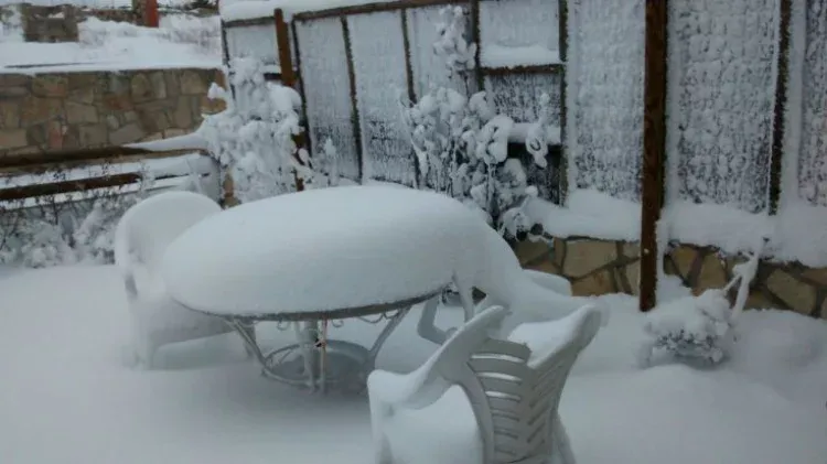 Imagen de Jardin con nieve