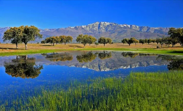 Imagen de Vistas alrededores
