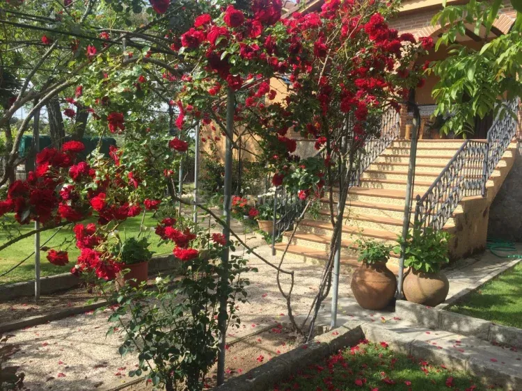 Imagen de Entrada principal a la casa