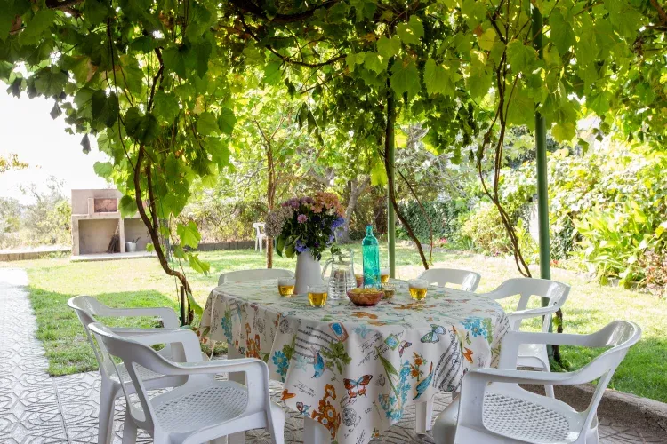 Imagen de Terraza Jardín Apart