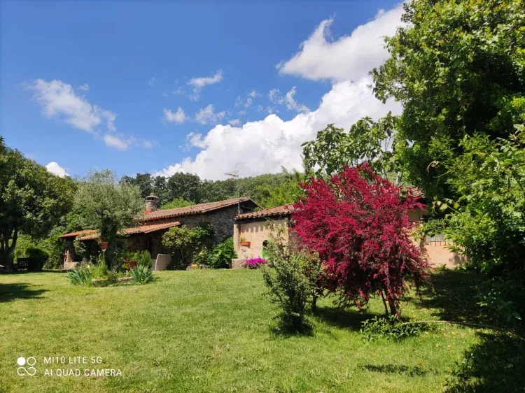 Imagen de jardin