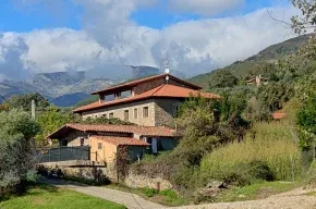 Imagen de Ropino