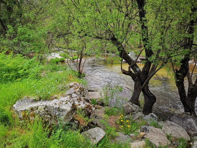 Imagen de Poza de la casa rural Molino Navarenas