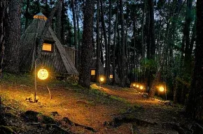 Imagen de Glamping The Teepee