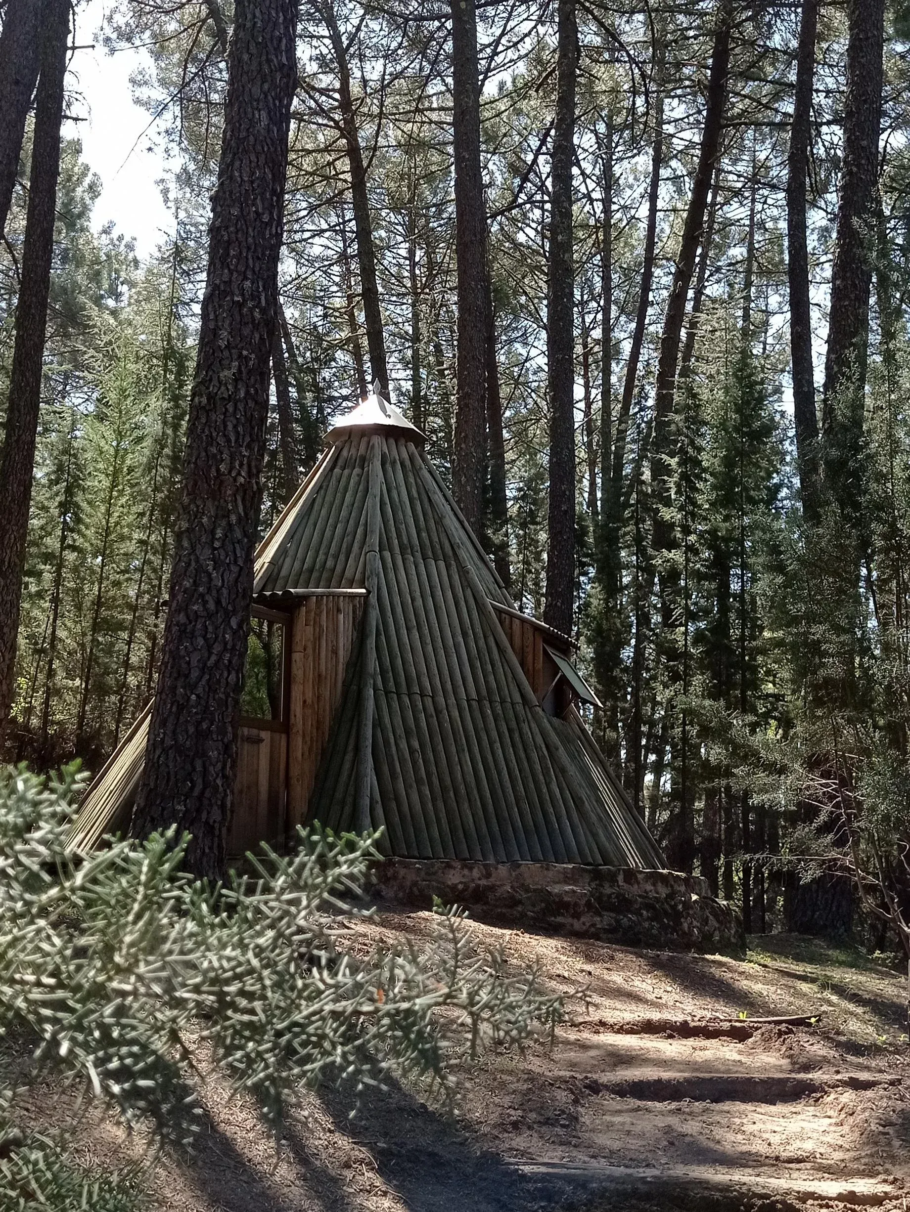 Imagen de Tipi de día