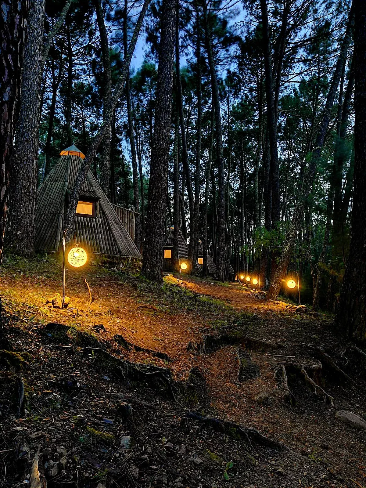 Imagen de Alojamientos de noche