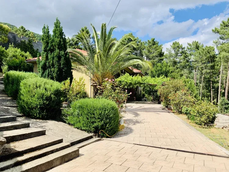 Imagen de Jardín