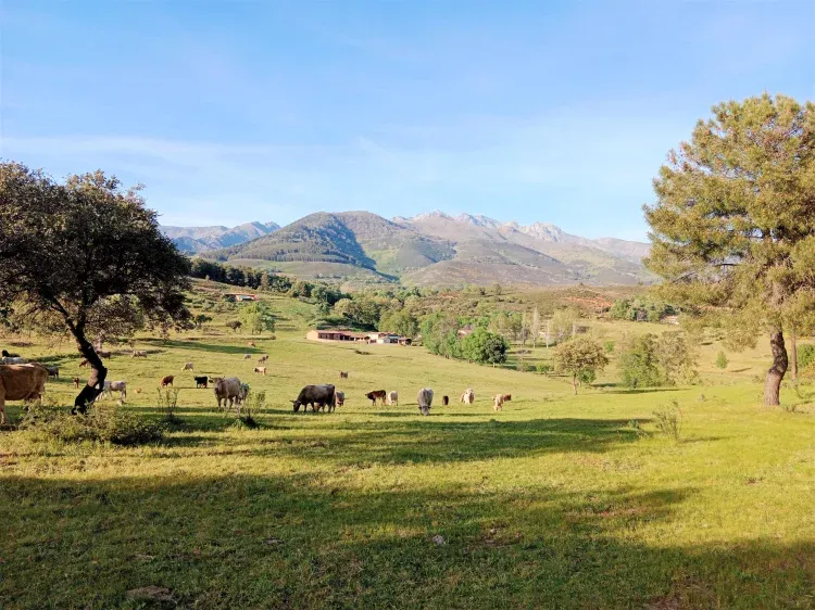 Imagen de Vistas