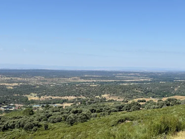 Imagen de Vistas