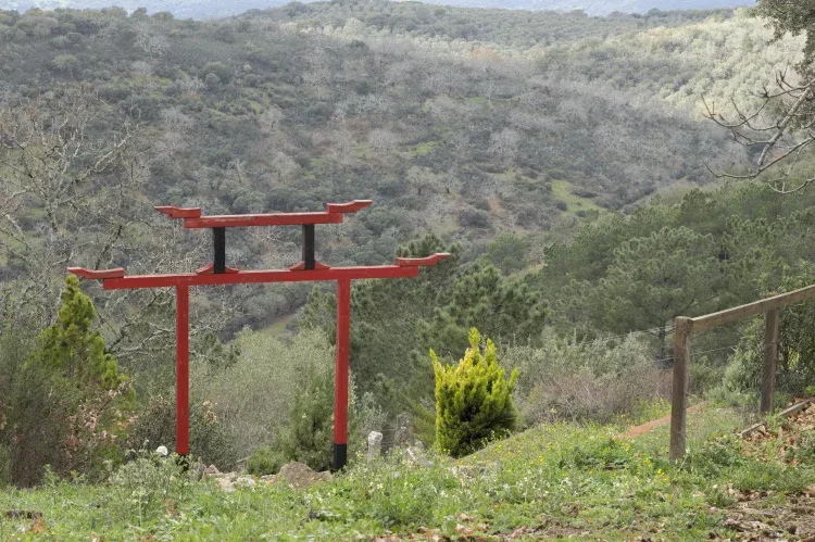 Imagen de Entrada al jardín Zen