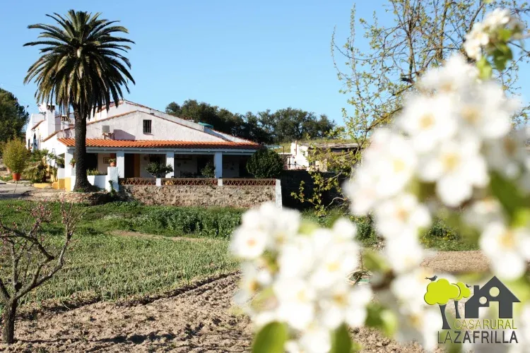 Imagen de Casa Rural La Zafrilla-Jerez de los Caballeros.
