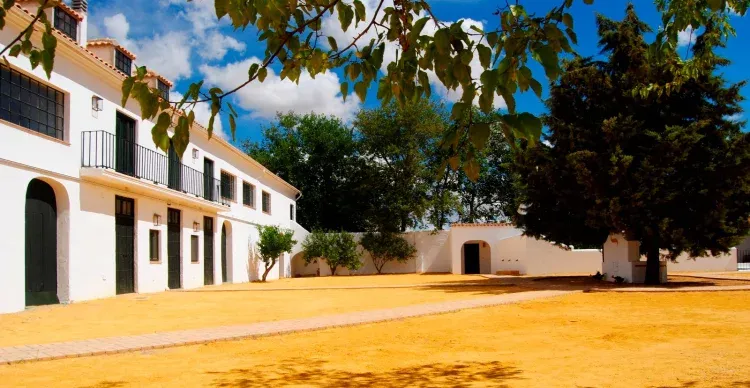 Imagen de Patio