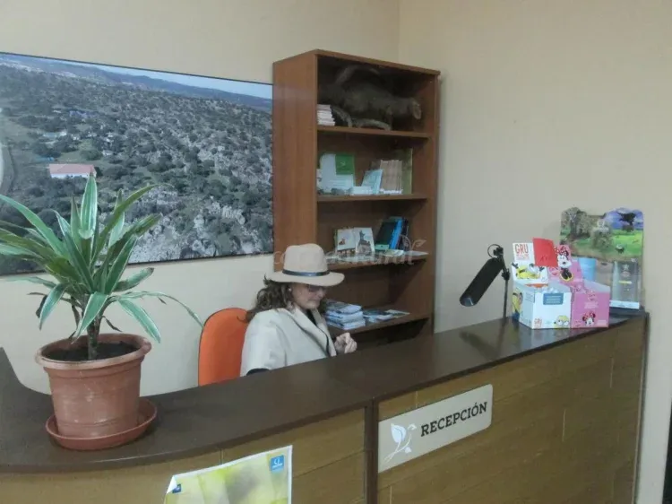 Imagen de Recepción