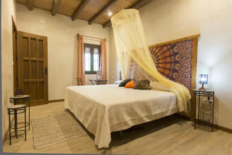 Imagen de Habitación 1-El petirrojo.