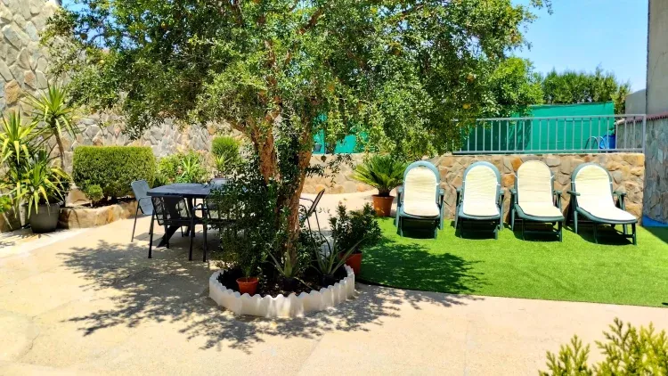 Imagen de jardin con cesped