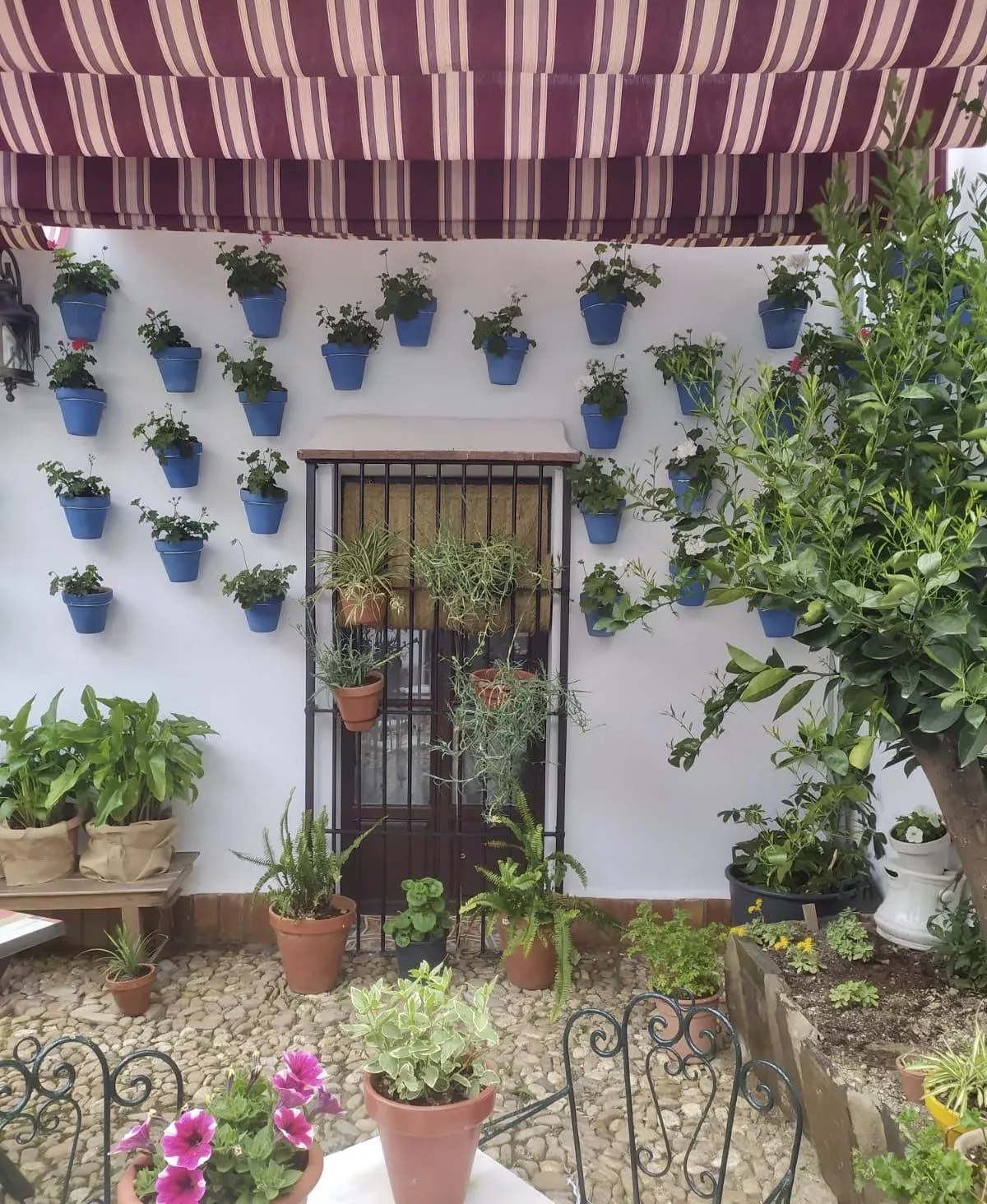 Imagen de Patio
